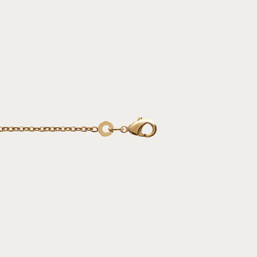 Grâce à son épaisseur de 1,60 mm, cette chaîne met parfaitement en valeur les pendentifs de taille moyenne tout en étant suffisamment élégante pour être portée seule. Elle est idéale pour créer des superpositions harmonieuses avec d'autres chaînes de différentes longueurs.