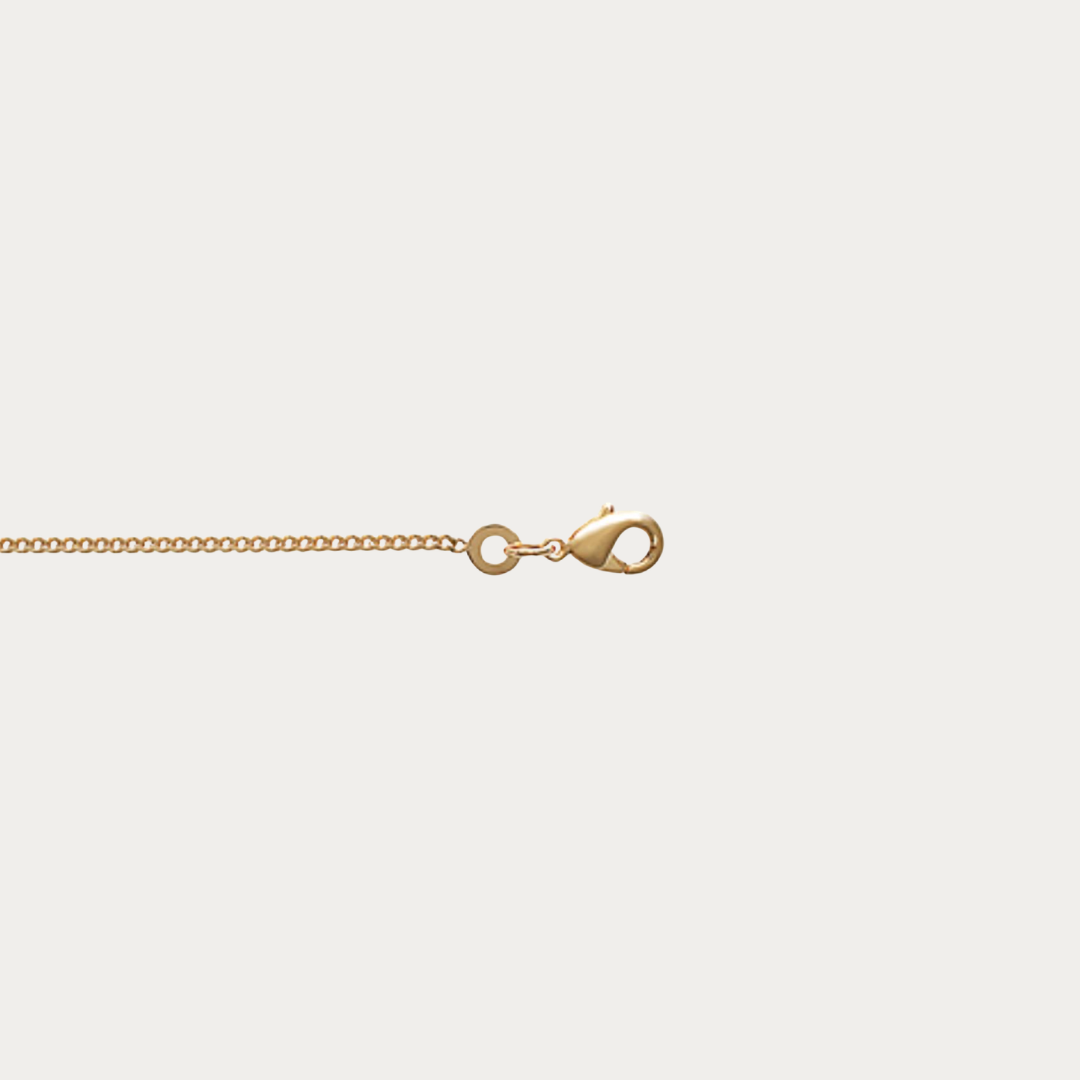 Craquez pour notre chaîne Gourmette diamantée en plaqué or jaune 18K de 1,40 mm. Élégante et lumineuse, elle se porte seule ou avec un pendentif. Livraison rapide depuis Saint-Martin.