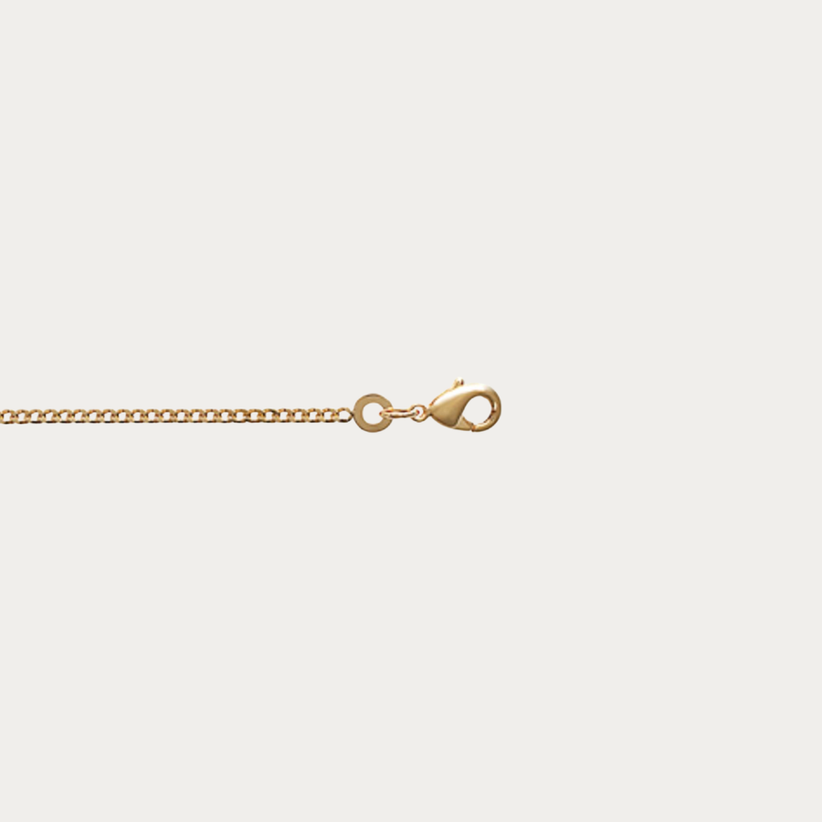 Craquez pour notre chaîne Gourmette diamantée en plaqué or jaune 18K de 1,80 mm. Élégante et lumineuse, elle se porte seule ou avec un pendentif. Livraison rapide depuis Saint-Martin.