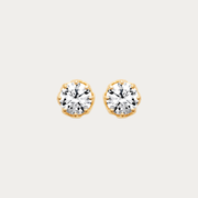 Puces d'oreilles dorées sertie de zirconium – Baie aux prunes