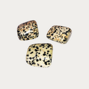 Jaspe dalmatien pierre roulée 3/4 cm