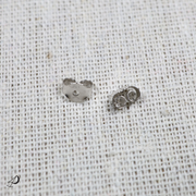 Puces d'oreilles Éstrella argentées en forme d'étoile de mer